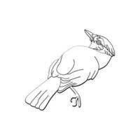 Vogel Gliederung Vektor zum Färbung Buch und tätowieren Design. Vogel Linie Kunst. Vogel Vektor Illustration. Vogel Umriss. Vogel Linie Kunst. Hand gezeichnet Vogel.