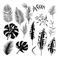 illustration uppsättning av tropisk växter och löv, hand dragen stil, översikt skiss. vektor