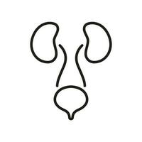 Mensch Urin- System Linie Symbol. Urologie Krankheit Gliederung Symbol. anatomisch gesund intern Organe. Gesundheit Blase und Niere linear Piktogramm. editierbar Schlaganfall. isoliert Vektor Illustration.