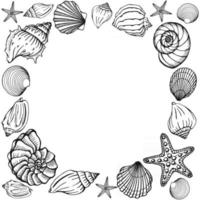 Muscheln Rahmen Meer und Ozean Designvorlage Vektor Illustration Vektorkartenvorlagen perfekt für Visitenkarten Einladung Hochzeit und Webdesign