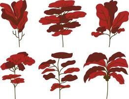 einstellen von rot Blätter isoliert auf ein Weiß Hintergrund. Vektor Illustration.