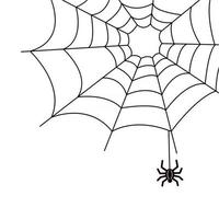 Spinne und Spinnennetz in der Ecke dekoratives Element für Design Schwarz-Weiß-einfache Vektorillustration gefährliches Insekt Gliederfüßer Halloween Spinnennetz vektor