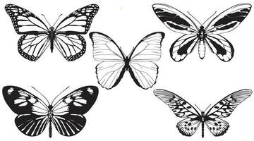 fjärilar vektor 1