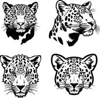 leopard huvud logotyp vektor stencil uppsättning