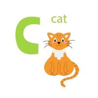 kort av en söt röd katt. alfabetet med djur. färgglad design för att lära barn alfabetet, lära sig engelska. vektorillustration i platt tecknad stil på en vit bakgrund vektor