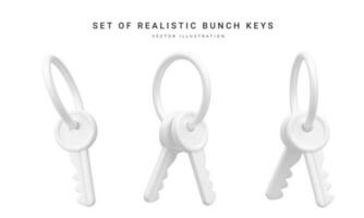 einstellen von 3d realistisch Bündel von Schlüssel isoliert im mit Hintergrund. Vektor Illustration