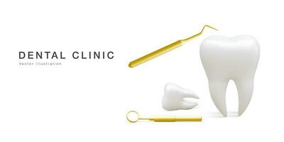 realistisch Zahn, Dental Sonde und Dental Spiegel zum Zähne isoliert auf Weiß Hintergrund. medizinisch Zahnarzt Werkzeug. Zahnheilkunde, Gesundheitspflege, Hygiene Konzept. Vektor Illustration