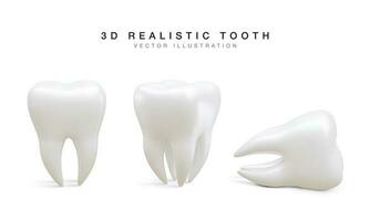 uppsättning av vit tand i annorlunda placera isolerat på vit bakgrund. begrepp av dental undersökning av tänder, dental hälsa och hygien. vektor illustration