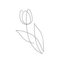 Tulpe gezeichnet im einer kontinuierlich Linie. einer Linie Zeichnung, Minimalismus. Vektor Illustration.