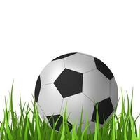 en realistisk 3d fotboll boll vektor illustration på en grön gräs bakgrund. perfekt för sporter relaterad mönster, representerar aktivitet, atleticism, och konkurrens