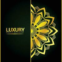 Luxus Zier Mandala Hintergrund Design mit Blumen- Formen vektor