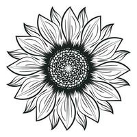 Sonnenblume Umriss, Sonnenblume Linie Kunst, Blumen- Linie Zeichnung, schwarz und Weiß Sonnenblumen Vektor Illustration