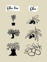 uppsättning av oliv gren och oliv träd. hand dragen illustrationer vektor