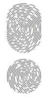 Fingerabdruck Identifizierung Symbol Symbol einstellen im eben Stil. Sicherheit Authentifizierung. Vektor Illustration isoliert auf Weiß