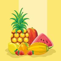 tropiska frukter saftiga vektor