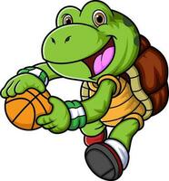 tecknad serie liten sköldpadda spelar basketboll vektor