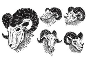einstellen bündeln satanisch Ziege Kopf Hörner Schaf Schädel dunkel Kunst schwarz Weiß zum tätowieren Kleidung Hand gezeichnet Illustration vektor
