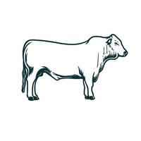 linje konst av ko, djur- nötkreatur vektor