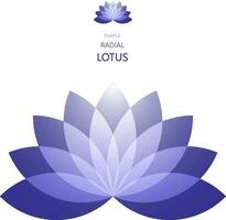 radial Lotus Blume vektor