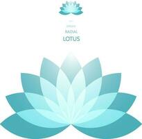 radiell lotus blomma vektor