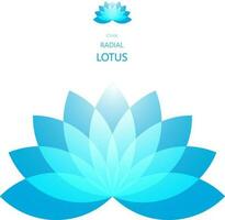 radial Lotus Blume vektor