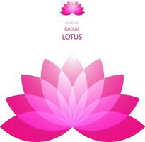radial Lotus Blume vektor