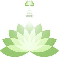 radial Lotus Blume vektor