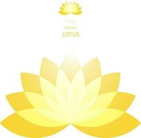 radiell lotus blomma vektor