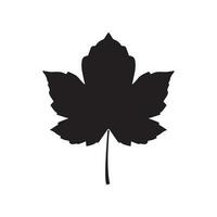 kanadensisk ikon höst löv vektor