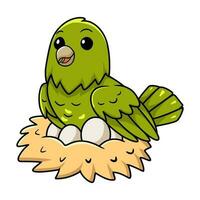 söt grön kanariefågel tecknad serie med ägg i de bo vektor