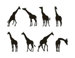 Giraffe Silhouette Illustration, Gruppe von afrikanisch vektor