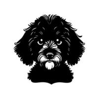 söt svart franska barbet hund porträtt vektor