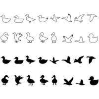 Ente Symbol Vektor Satz. Vogel Illustration Zeichen Sammlung. Jagd Symbol. Gans Logo.