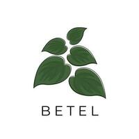Logo Illustration von ein Bündel von Grün Betel Blätter vektor