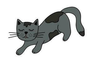 hand dragen katt ClipArt. söt sällskapsdjur klotter vektor