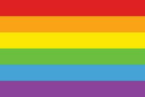 Bild von hell bunt lgbt Regenbogen Flagge vektor