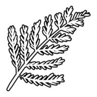 gren med blad botaniska linje stilikon vektor