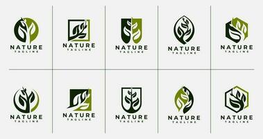 einstellen von absract Natur Blatt Pflanze Logo Design. Luxus organisch Pflanze Logo Branding. vektor