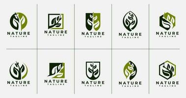 uppsättning av absolut natur blad växt logotyp design. lyx organisk växt logotyp varumärke. vektor