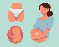 weiblicher Körper schwanger vektor