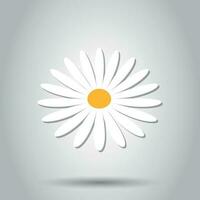 Kamille Blume Vektor Symbol im eben Stil. Gänseblümchen Illustration auf Weiß Hintergrund. Kamille Zeichen Konzept.