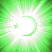 Nationen des Islam vektor