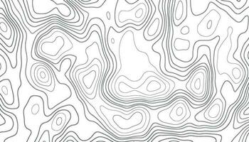 abstrakt topografisk Karta bakgrund. abstrakt topografisk Karta bakgrund. imitation av en geografisk Karta. geografisk Karta konceptuell design. elegant bakgrund för presentationer. vektor