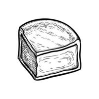 bit av Camembert ost. bläck skiss isolerat på vit bakgrund. hand dragen vektor illustration. årgång stil stroke teckning.