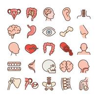 Anatomie des menschlichen Körpers Organe Gesundheit Darm Kopf Ohr Blut Schädel Gehirn Symbole Sammlungslinie und Füllung vektor