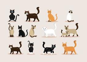 Bündel Katzen katzenartige Tiere Symbole vektor
