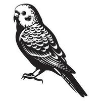 undulat silhuett, undulat maskot logotyp, undulat svart och vit djur- symbol design, fågel ikon. vektor