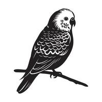 Wellensittich Silhouette, Wellensittich Maskottchen Logo, Wellensittich schwarz und Weiß Tier Symbol Design, Vogel Symbol. vektor