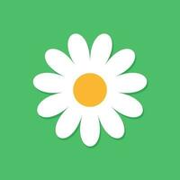 kamomill blomma vektor ikon i platt stil. daisy illustration på grön isolerat bakgrund. kamomill tecken begrepp.