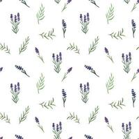 Provence Lavendel Blumen und Blätter nahtlos Muster. Hand gezeichnet Sommer- Aquarell vektor